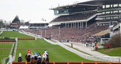 ITV's Cheltenham Festival 2022 coverage cut off suddenly with 'disruption' message