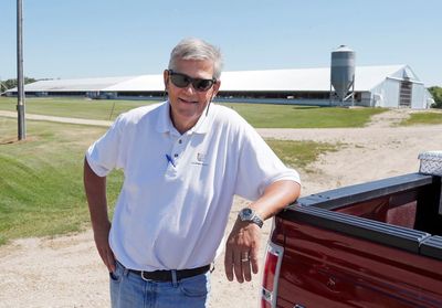 Chicken, turkey farmers struggle to keep birds safe from flu