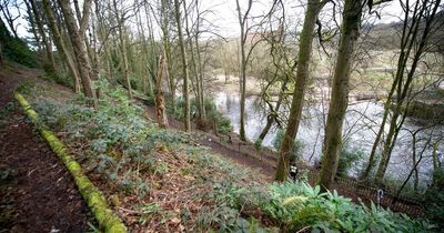 No suspicious circumstances say police after body found in Stockport park