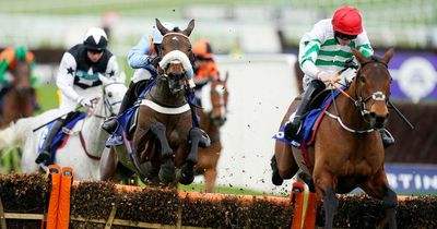 Cheltenham Festival 2022 day two tips including winner for the Queen Mother Champion Chase