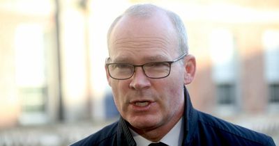 Irish Government to ramp-up humanitarian response to those arriving from Ukraine