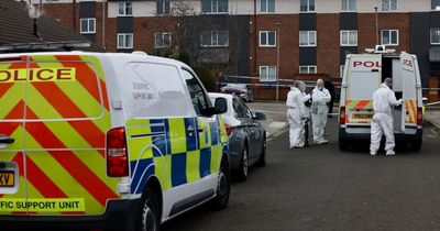 All the murder investigations launched this year as families hit by tragedy