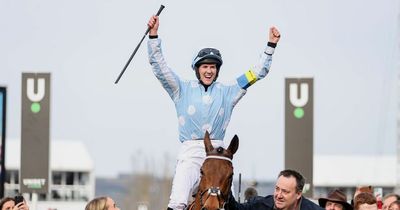 How many Irish winners were there at the Cheltenham Festival today?