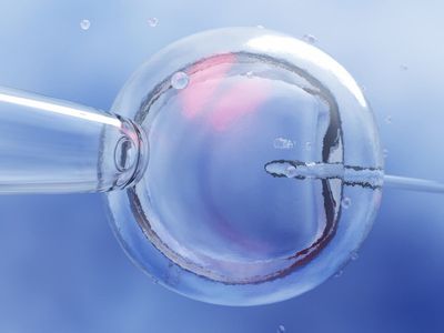 Scotland has longest delay in IVF treatment in the world as women miss ‘vital’ cycles, study finds