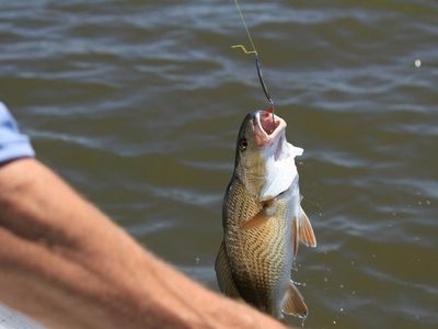 PreMarket Prep Stock Of The Day: Bottom Fishing With Coupa Software