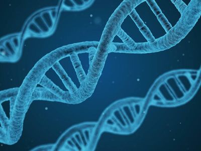 FDA Recommends At Least 15 years Of Follow-Up For Genome Editing Product Trials