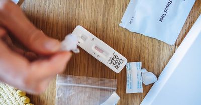 New BA.2 sub-variant of Omicron makes up more than 80% of all Scottish cases