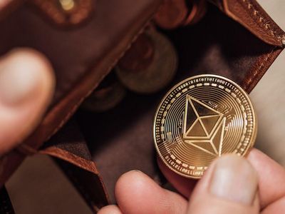 Wen Token? Metamask Users Could Get Rewarded Soon With New Funding, DAO Launch