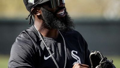 Josh Harrison brings his good reputation, and hopefully more, to White Sox infield