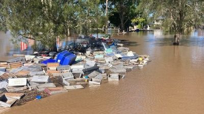 NSW floods kill millions of bees, apiarists warn of flow-on effects to horticulture industry
