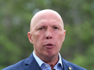 Dutton raises prospect of 'military force'
