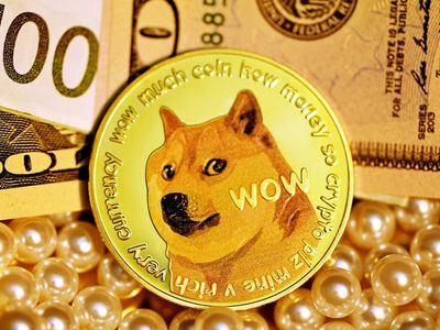 Dogecoin Alert: Whales Go Crazy As $3.9M Of DOGE Moved In A Single Transaction