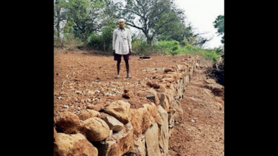 Few takers for govt’s Padkai farming scheme in 3 tehsils