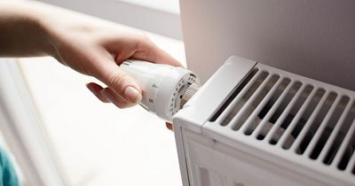 Nine ways the government could cut our energy bills by £150