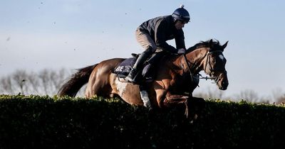 Tiger set to Roll one last time as two-time Grand National winner expected to be best backed horse of Cheltenham Festival 2022