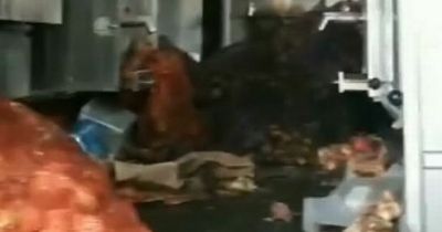 Russian troops' dismal diet uncovered as Ukraine army seize battlefield kitchen