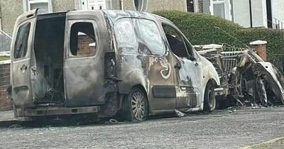Police looking to trace four men in relation to 'deliberate' car fires in Lanarkshire village