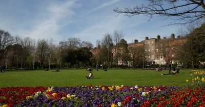 Dublin City Council to hold commemorative event for those lost during Covid-19 pandemic this weekend