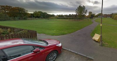 West Lothian woman 'shaken' after teenagers steal her handbag and run off