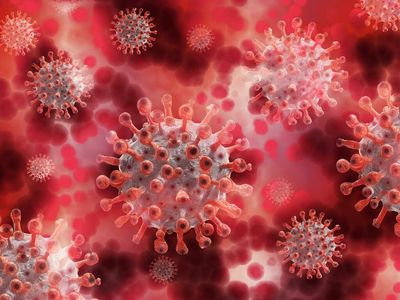 White House Warns It Cannot Afford COVID-19 Related Solutions If Cases Increase: FT