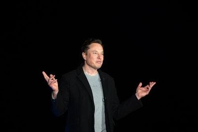 Is Elon Musk serious about beating up Putin?
