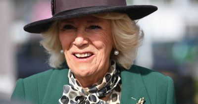 Camilla cancels visit to Cheltenham Festival as she continues to recover from Covid