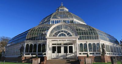Tory minister describes sitting by shattered windows of Sefton Park Palm House