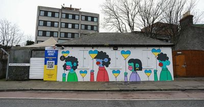 New 'Love Ukraine' mural on Grand Canal raising funds for Red Cross