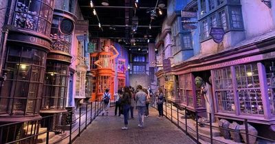 Edinburgh Harry Potter fans can book dream trip to studios and chocolate factory