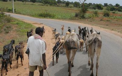 Farmers demand withdrawal of State laws on farm reforms