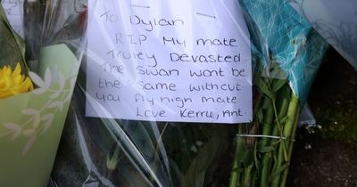 Tributes to Dylan Bacon, child sex offender flouts court order and covid rates rise