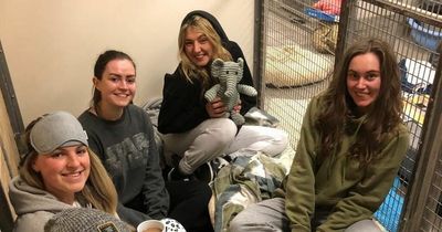 Animal lovers take to 'the dog house' to raise money for canines in need