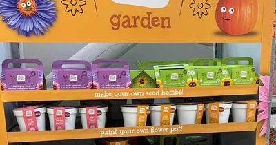 Sainsbury's shoppers praise new spring gardening range 'great for impatient toddlers'