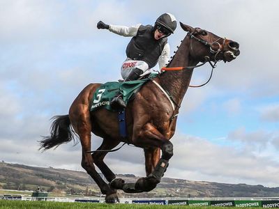 Talking Horses: Flooring Porter has staying power for Cheltenham repeat