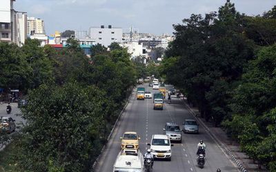 Over 1,300 trees part of green urban initiative likely to be axed for metro project on ORR
