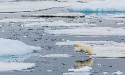 Microplastics from European rivers spreading to Arctic seas, research shows