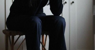 Domestic abuse and fraud cases increase as Stirling as cops reveal latest crime picture