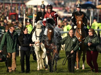 National hero Tiger Roll denied fairytale win by stablemate