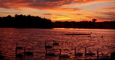 Glasgow five year action plan agreed for Seven Lochs project