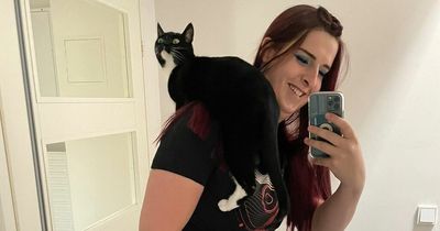 Edinburgh cat owner chronicles mammoth 1,000-mile odyssey to bring pets to city