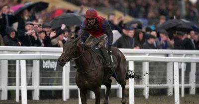 Ladies Day washout at Cheltenham Festival 2022 but 'bankers' win and Tiger Roll retires