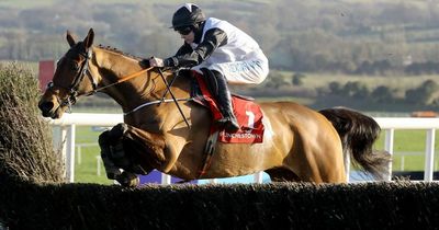 Cheltenham tips: Bob Olinger backed to prevail on Day Three