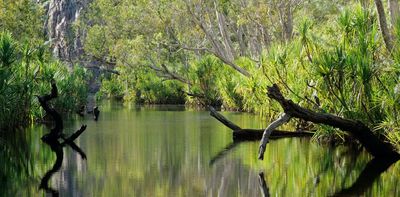 Thanks to heavy rain, Australia's environment scores a 7 out of 10 – but the future remains bleak