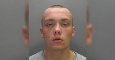 Blundering 'vigilante' jailed after setting fire to the wrong car