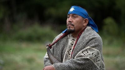 Chile's largest Indigenous group is fighting to take back what was lost