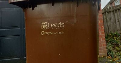 Bin collection changes in Leeds as council issues plea over rubbish