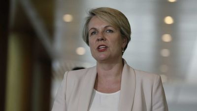 Tanya Plibersek says a Muslim woman on a train in Sydney has no protection under the law if someone yells at her for wearing a hijab. Is that correct?