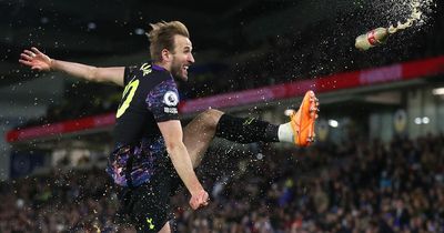 What Harry Kane did during the celebrations after scoring in Tottenham win at Brighton