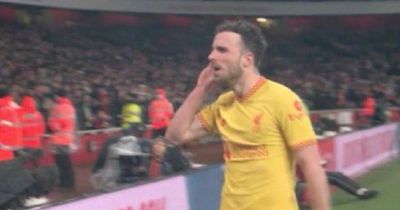 Diogo Jota's gesture towards Arsenal fans and other moments missed from Liverpool clash