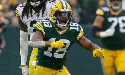 WR Randall Cobb takes big paycut to help Packers get under salary cap